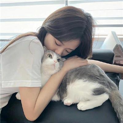 旺角风云